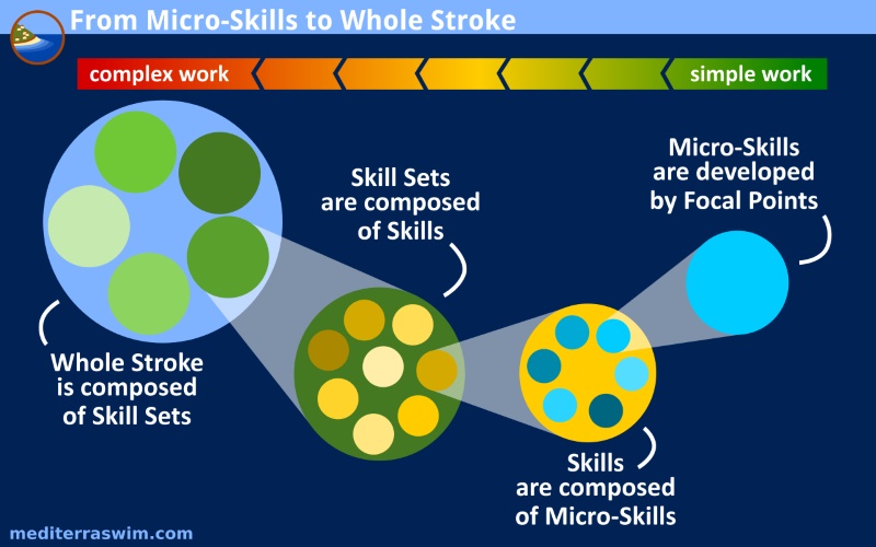 microskills-whole-stroke-b-800x500