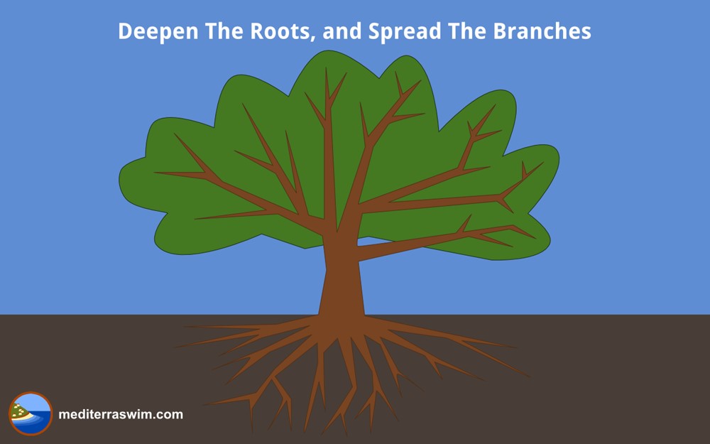 roots-and-branches-1000x-jpg